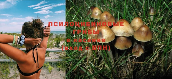 герыч Бежецк
