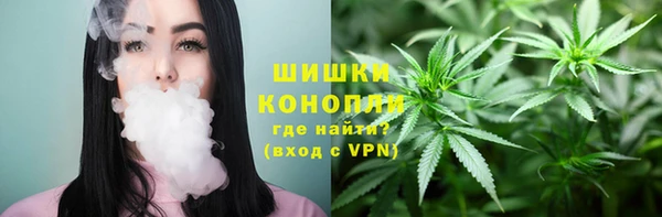 PSILOCYBIN Переславль-Залесский