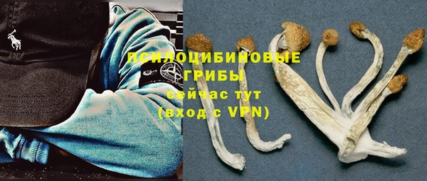 PSILOCYBIN Переславль-Залесский