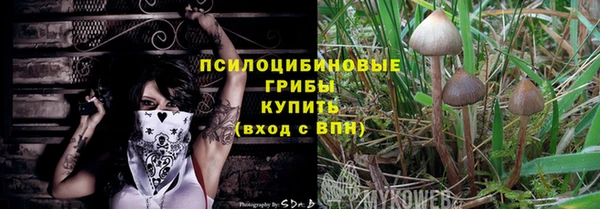 мяу мяу мука Михайловск