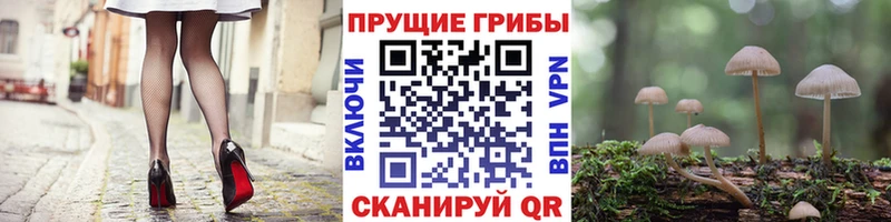 Галлюциногенные грибы Psilocybine cubensis  ОМГ ОМГ ссылка  Староминская 